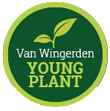 Young Plant Division